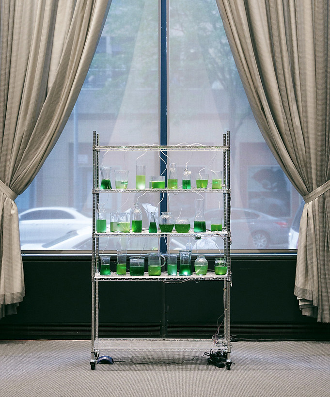 Image accompanying :iidrr Interview with Yan Shao