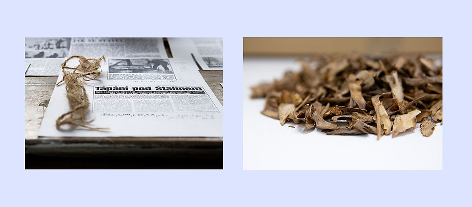 Image accompanying Art as Resistance: A Conversation with Klara Kusa