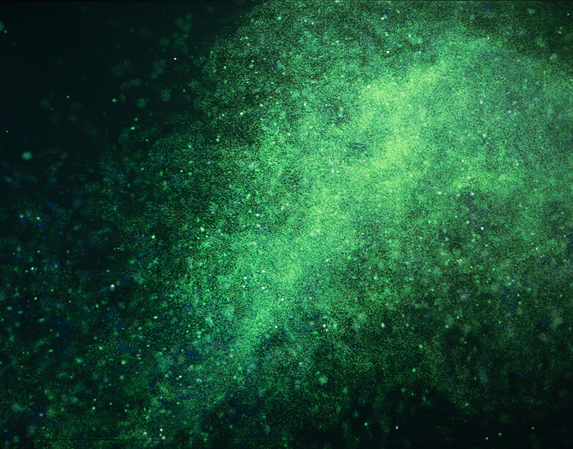 Image accompanying :iidrr Interview with Yan Shao