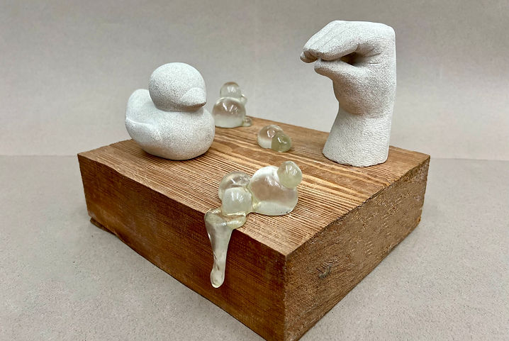 Image accompanying :iidrr Talks with Judy Chen