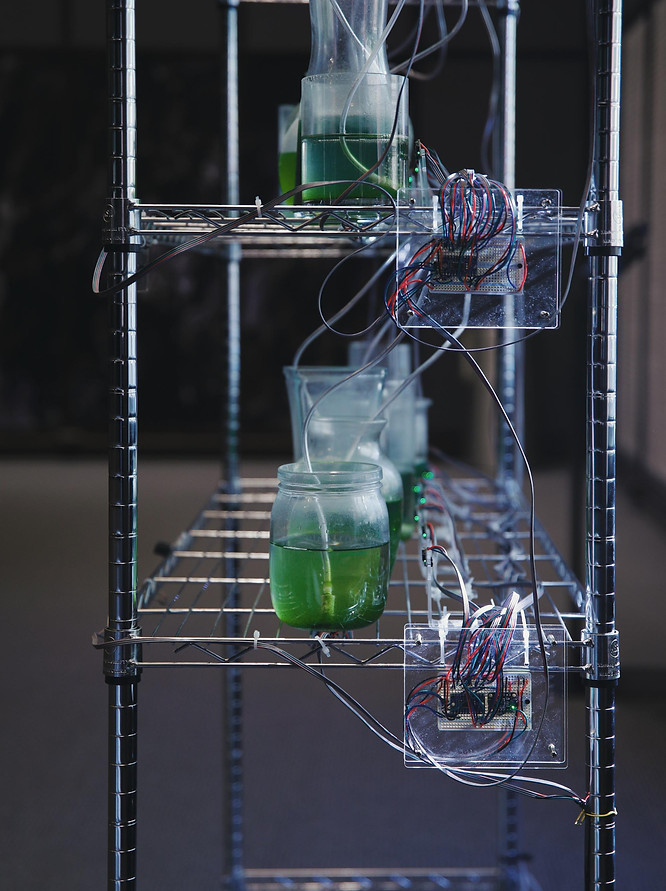 Image accompanying :iidrr Interview with Yan Shao