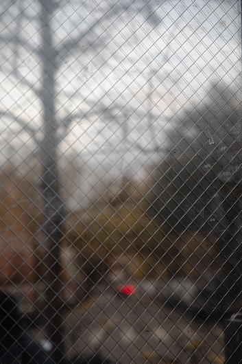 Image accompanying Fragmented Realities: Memory, Identity, and the Spaces In-Between