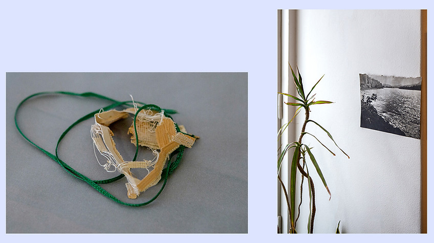 Image accompanying Art as Resistance: A Conversation with Klara Kusa